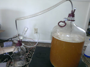 Yeast Recovery System
