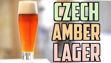 Czech Amber Lager