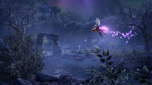 Dark Heart of the Forest