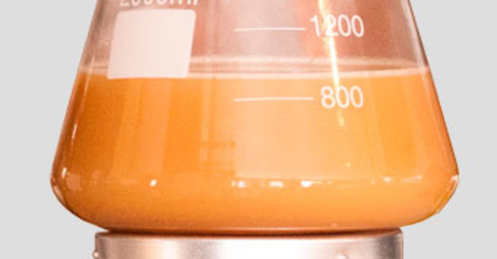 Beer yeast extract carbon oxygen nitrogen hydrogen content