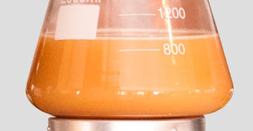 Yeast Propagation and Maintenance: Principles and Practices